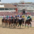 Titanbet UK Has Gained Sponsorship To Lingfield Park’s Super Saturday Meetings