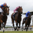 O’Brien wants quick ground for Gleneagles