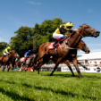 British Horseracing Authority dispels any Coral offers