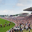 Horse Racing: Big Blow to Alberta as Northlands Track is Hosting its Last Season of Horse Racing