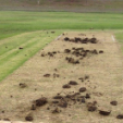 Pitch has Been Vandalized by Unknown Person(s), $5000 Reward Offered!