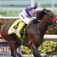 Horse Racing: The Next American Pharaoh?