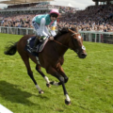 Cunco bids to make flying start for Frankel