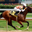 New mobile app brings horseracing to hand